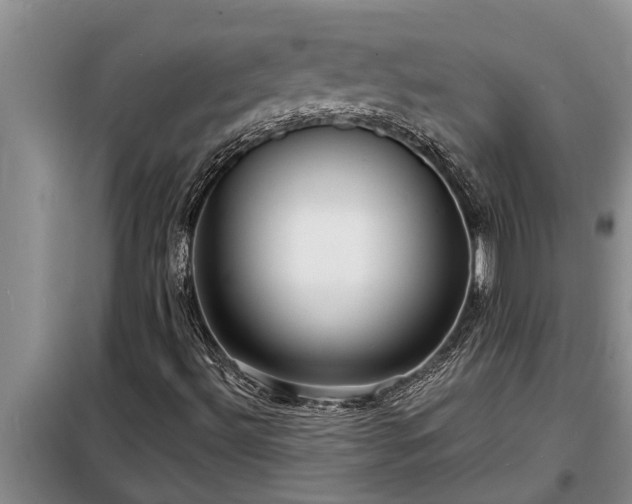 X0000098171492200805011001