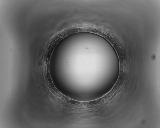 X0000098171493200805011001