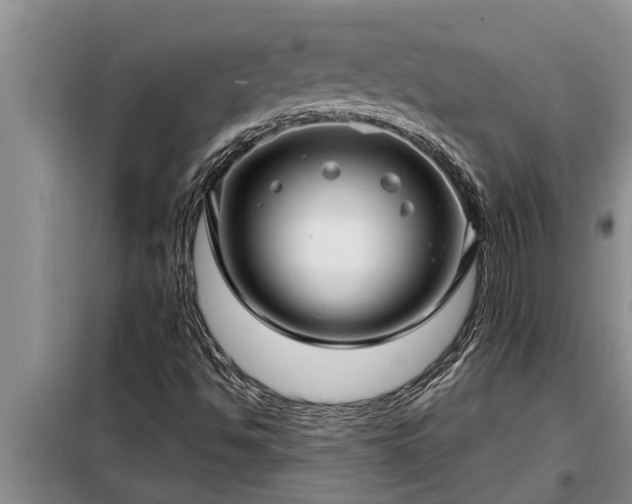 X0000098171494200805011001