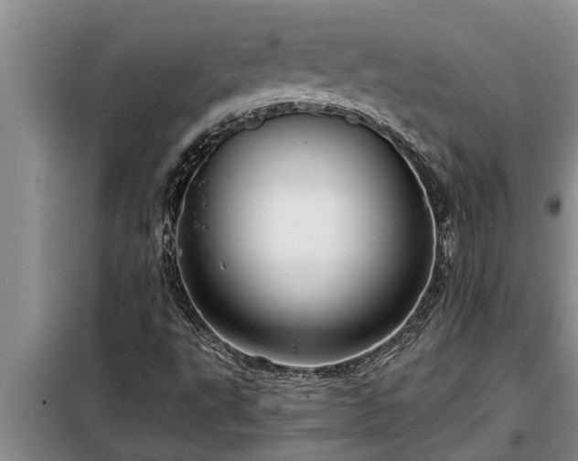 X0000098171495200805011001