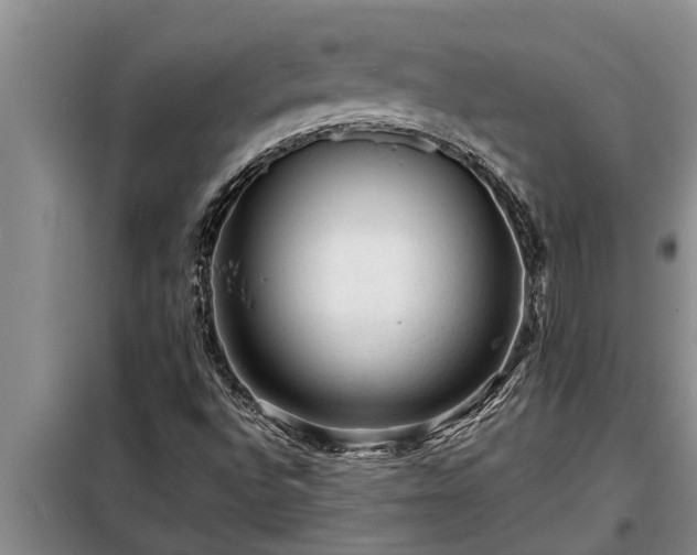 X0000098171496200805011001