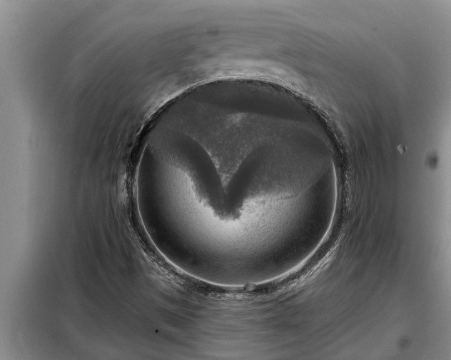 X0000098171497200805011001