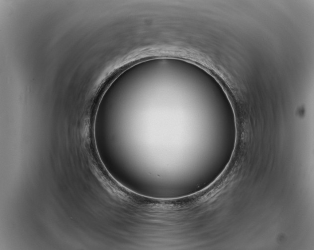 X0000098171499200805011001