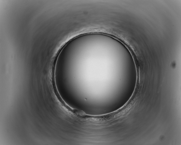 X0000098171500200805011001