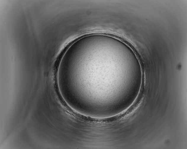 X0000098171501200805011001