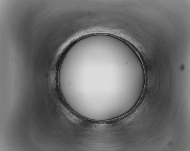 X0000098171502200805011001