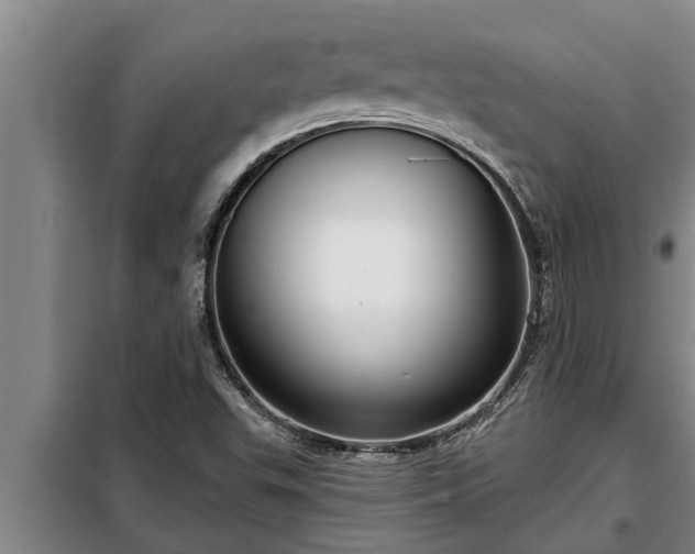 X0000098171503200805011001