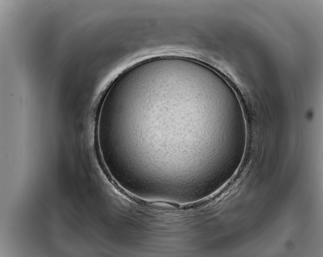 X0000098171504200805011001