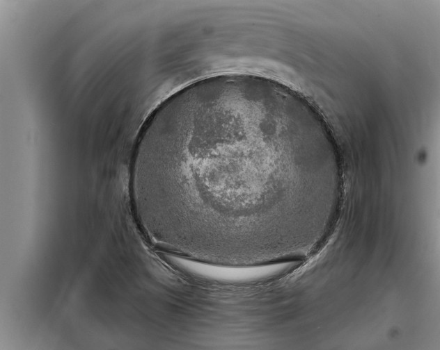 X0000098171505200805011002