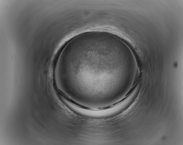 X0000098171506200805011002