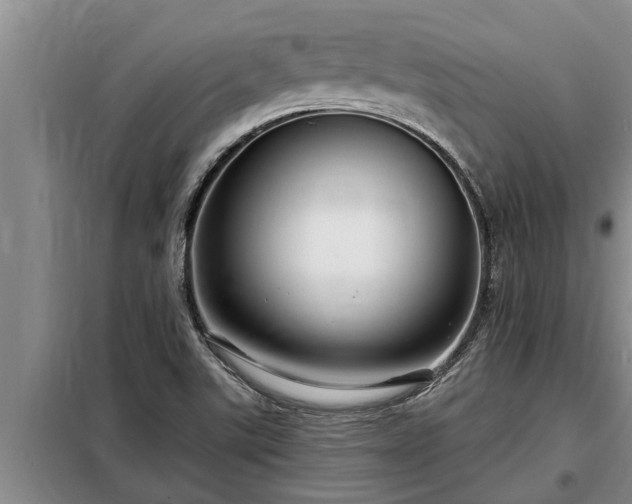 X0000098171507200805011002