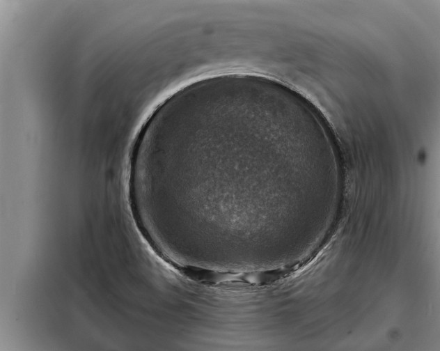 X0000098171508200805011002