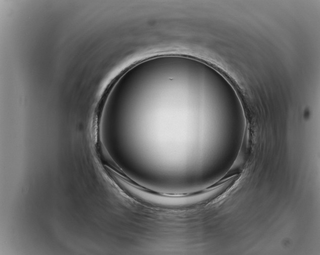 X0000098171510200805011002