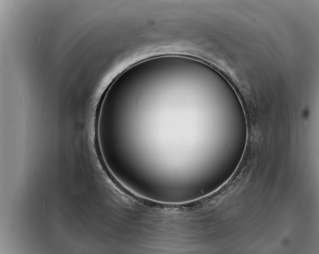 X0000098171512200805011002