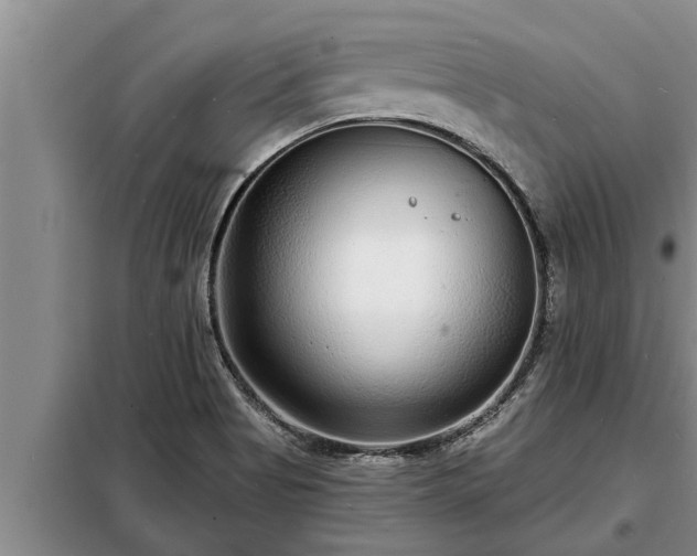 X0000098171513200805011002