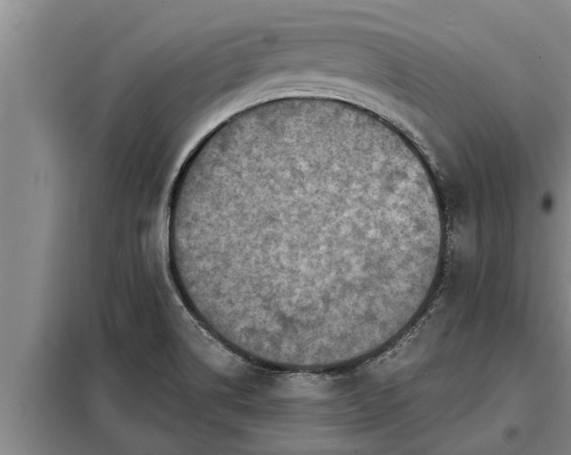 X0000098171514200805011002