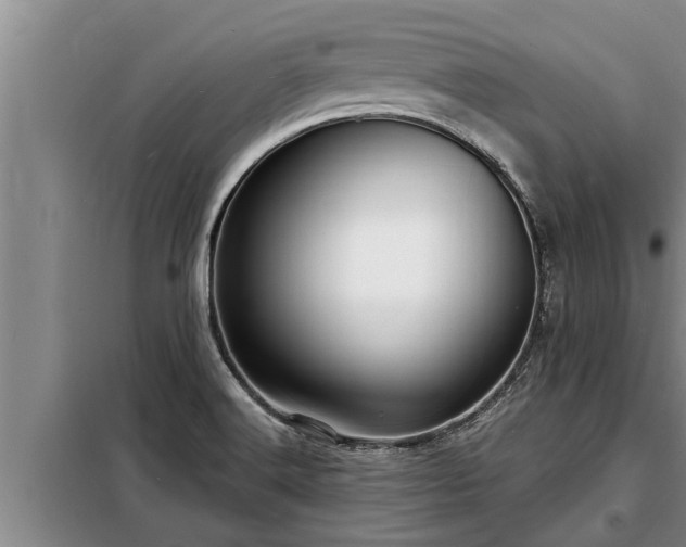 X0000098171516200805011002