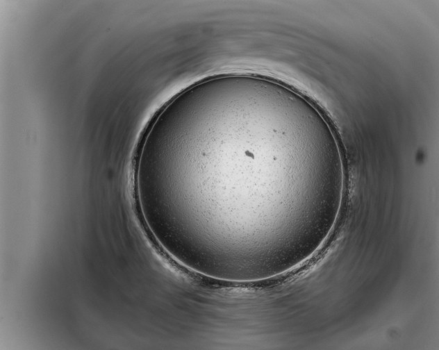 X0000098171517200805011002