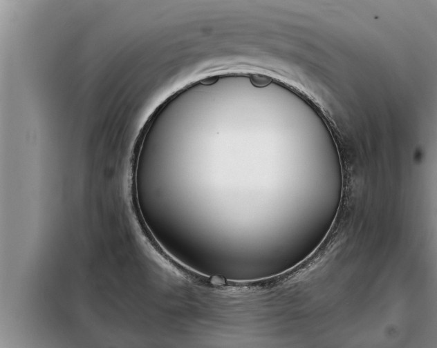 X0000098171518200805011002