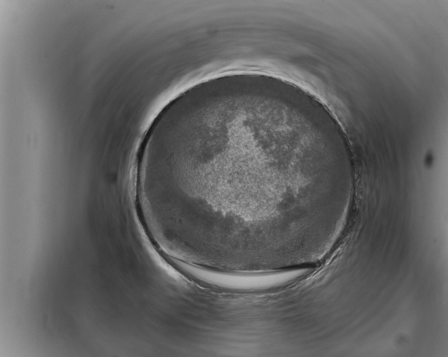 X0000098171519200805011002