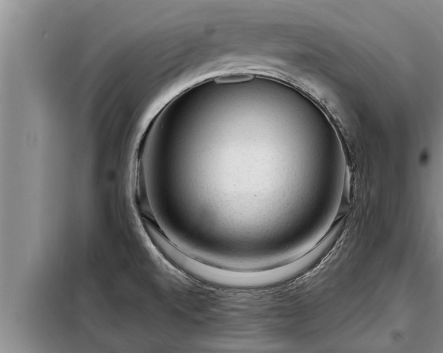 X0000098171520200805011002