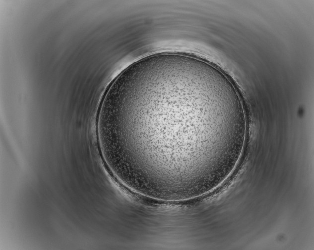 X0000098171521200805011002