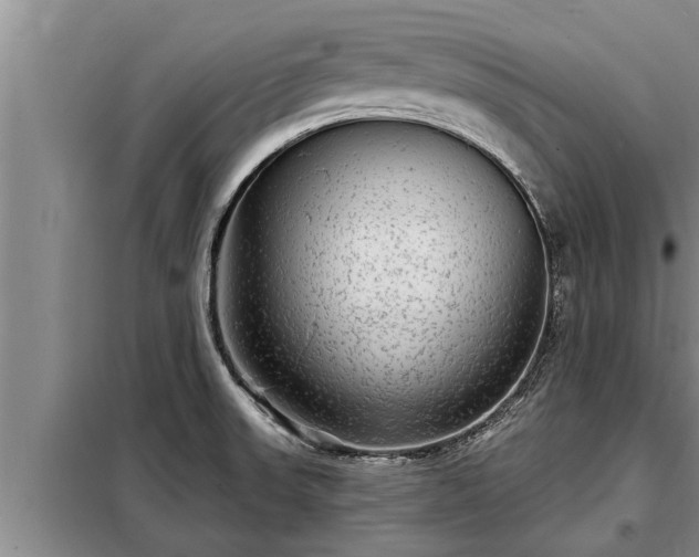 X0000098171523200805011002