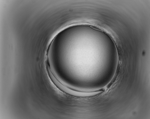 X0000098171524200805011002