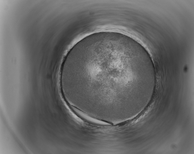 X0000098171525200805011002