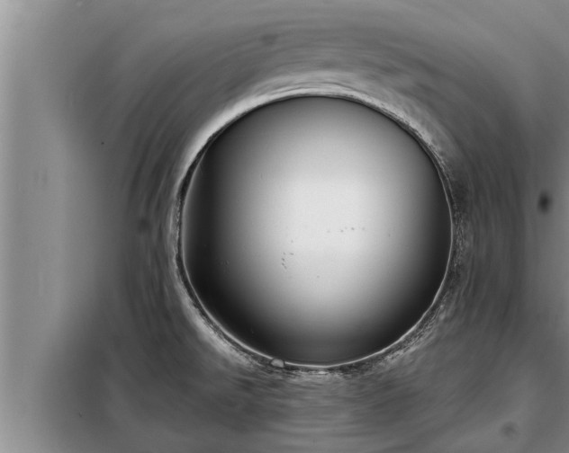 X0000098171526200805011002