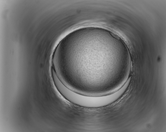 X0000098171528200805011002