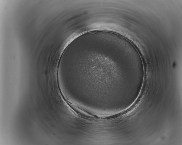 X0000098171529200805011002