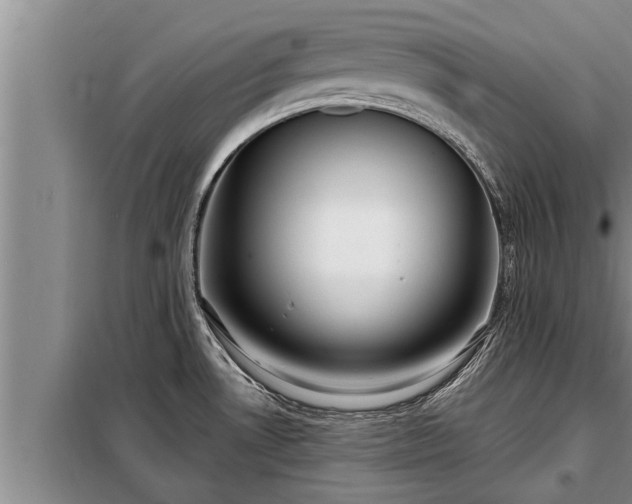 X0000098171530200805011002