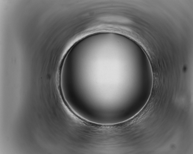 X0000098171531200805011002