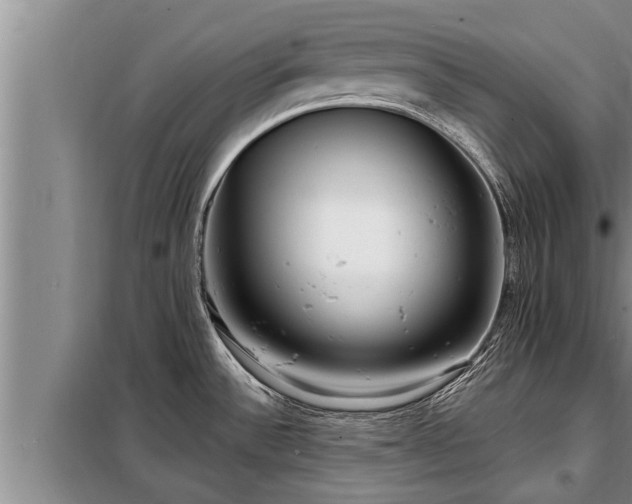 X0000098171532200805011002