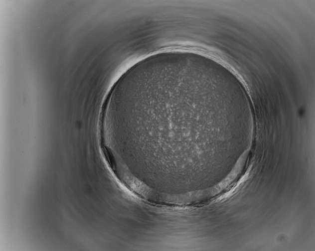 X0000098171533200805011002