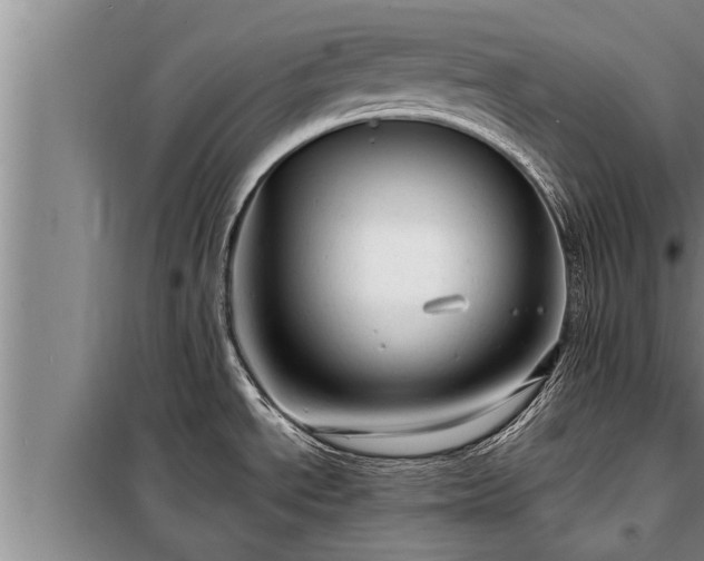 X0000098171534200805011002