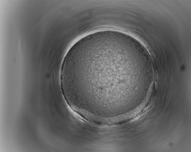 X0000098171535200805011002