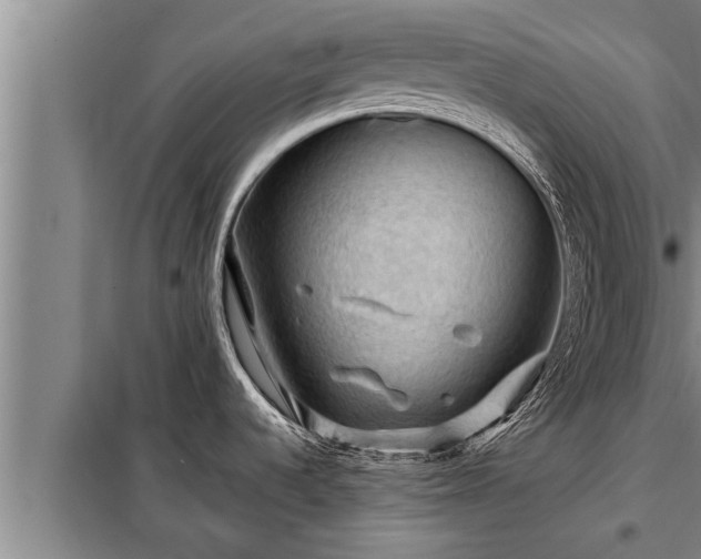 X0000098171536200805011002