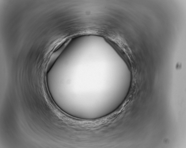 X0000098170001200805081012