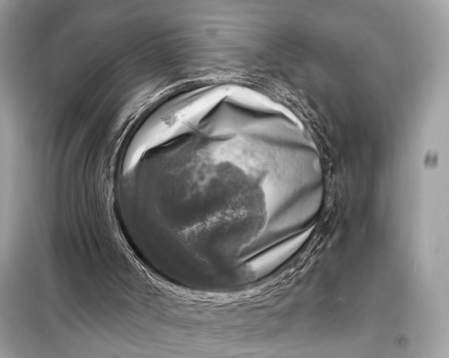 X0000098170002200805081012