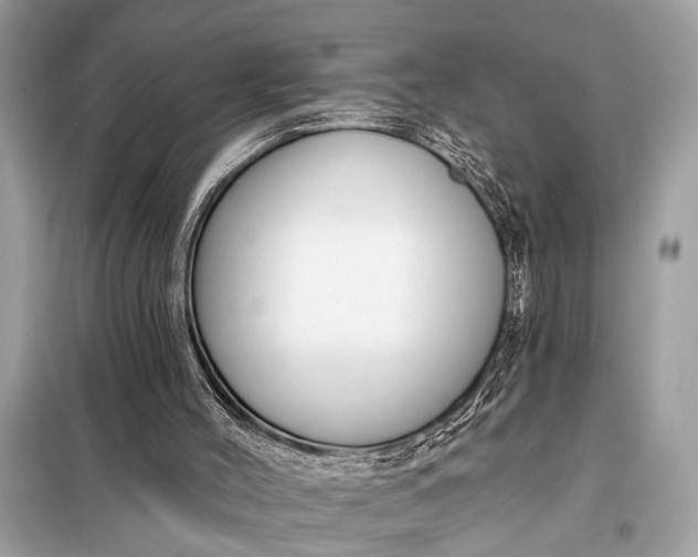 X0000098170004200805081011