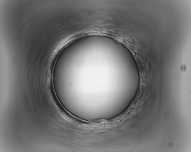 X0000098170005200805081011