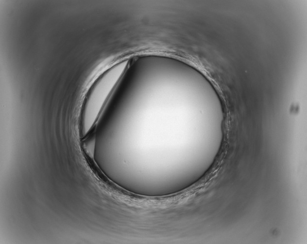 X0000098170007200805081011