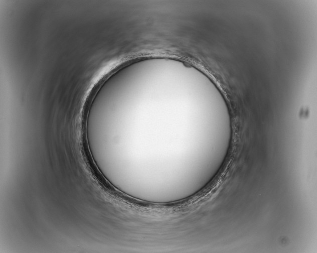 X0000098170008200805081011