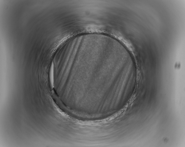 X0000098170009200805081011