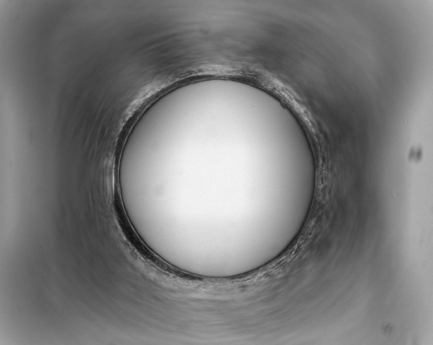 X0000098170011200805081011