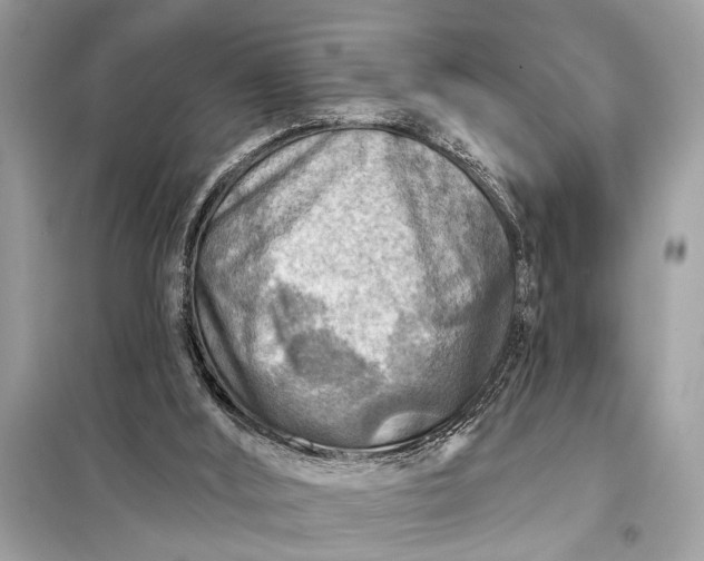 X0000098170012200805081011