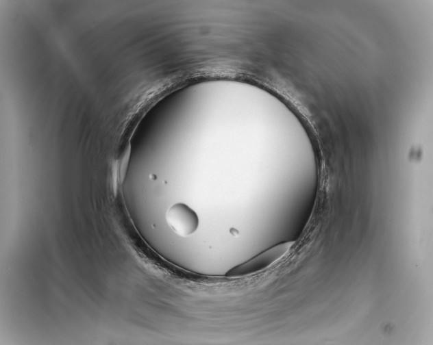 X0000098170013200805081011