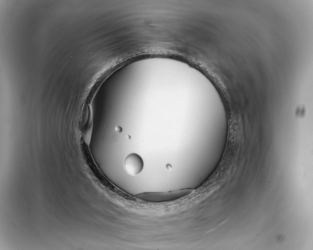 X0000098170015200805081011